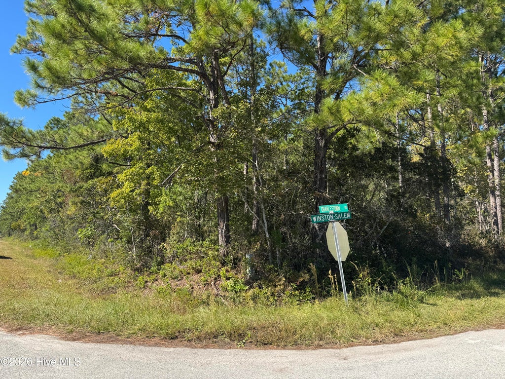 Photo of 271 Charlestown Road, Boiling Spring Lakes, NC 28461 (MLS # 100612535)