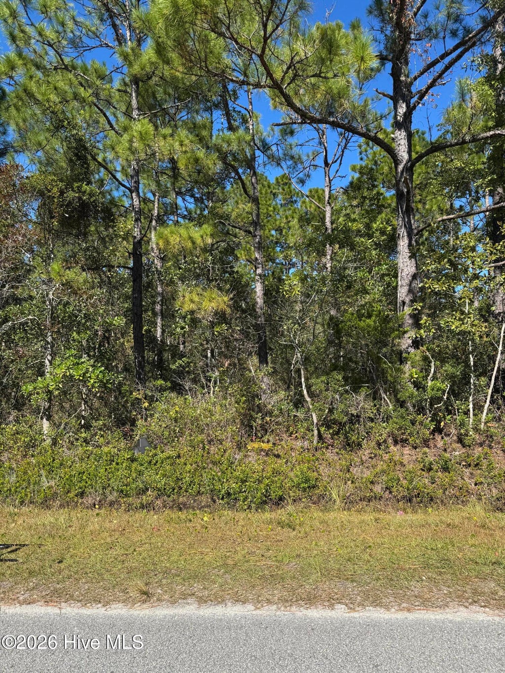 Photo of 271 Charlestown Road, Boiling Spring Lakes, NC 28461 (MLS # 100612535)