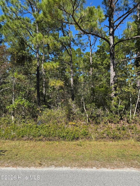 Photo of 271 Charlestown Road, Boiling Spring Lakes, NC 28461 (MLS # 100612535)