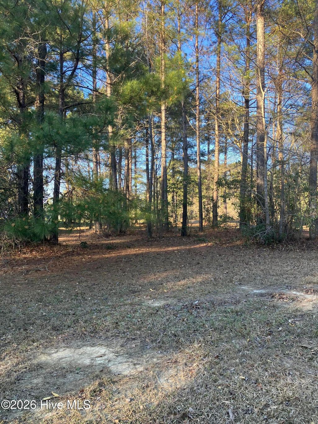 Photo of 146 Muscadine Trail, Wallace, NC 28466 (MLS # 100561309)