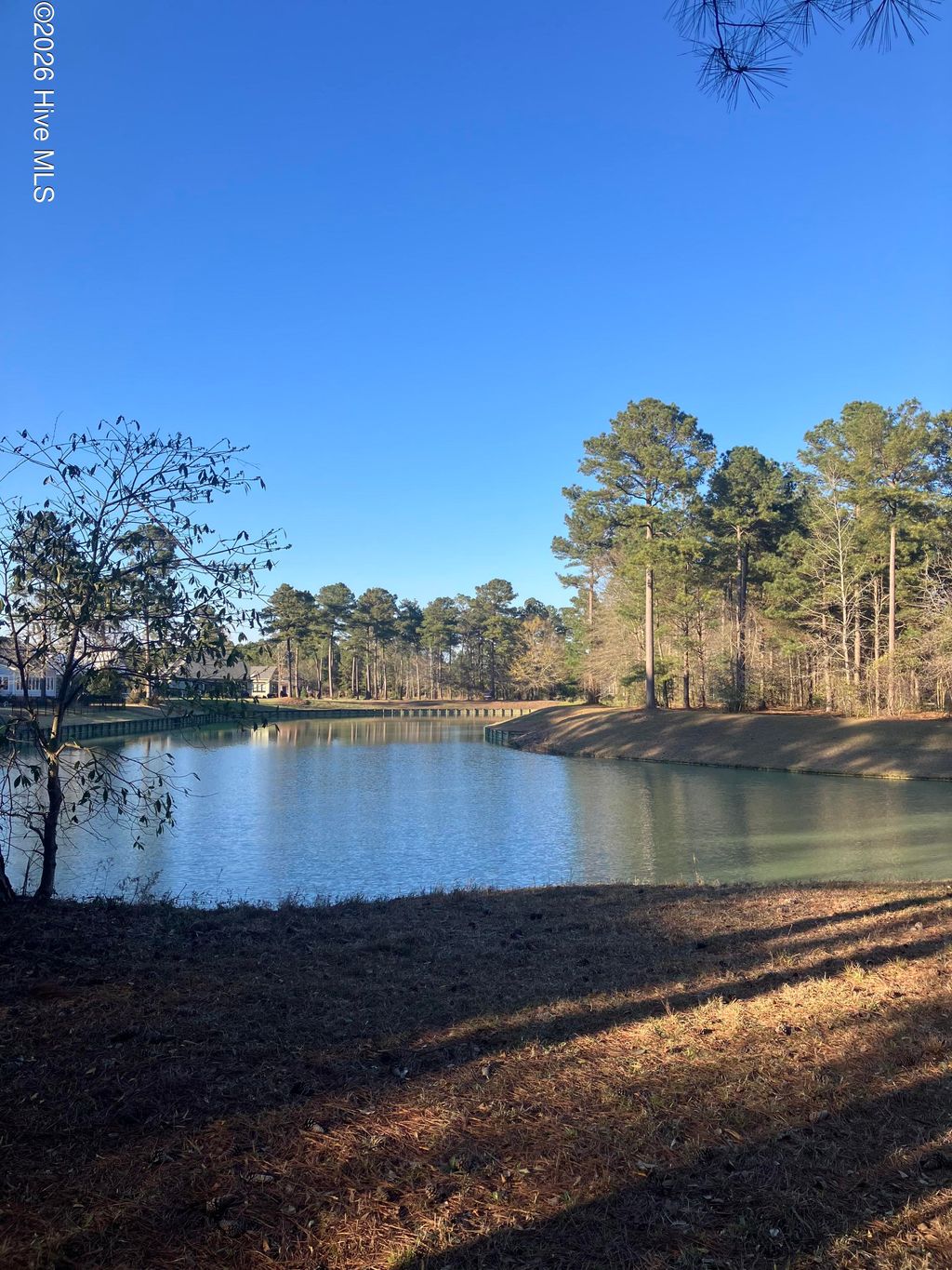 Photo of 146 Muscadine Trail, Wallace, NC 28466 (MLS # 100561309)