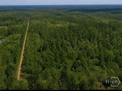 Vacant Land For Sale - 4930 N Hwy 17<br/> Guyton, GA 31312