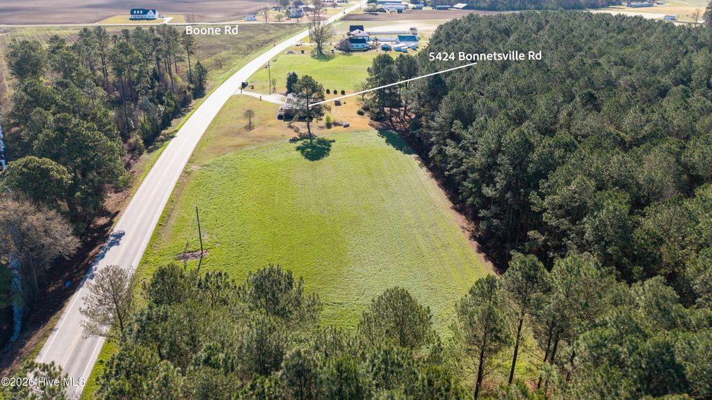 Photo of 5424 Bonnetsville Road, Clinton, NC 28328 (MLS # 100561088)