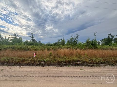Vacant Land For Sale - Riggs Lane<br/> Claxton, GA 30417