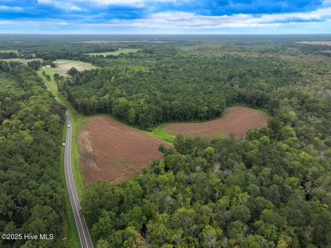 Vacant Land For Sale - Stocking Head Road<br/> Greenevers, NC 28458