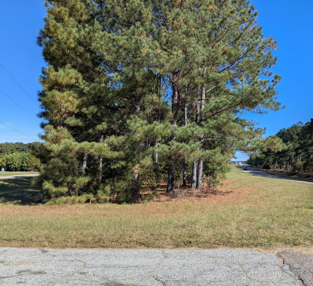 Photo of 0 Hwy 121, Trenton, SC 29847 (MLS # 548610)