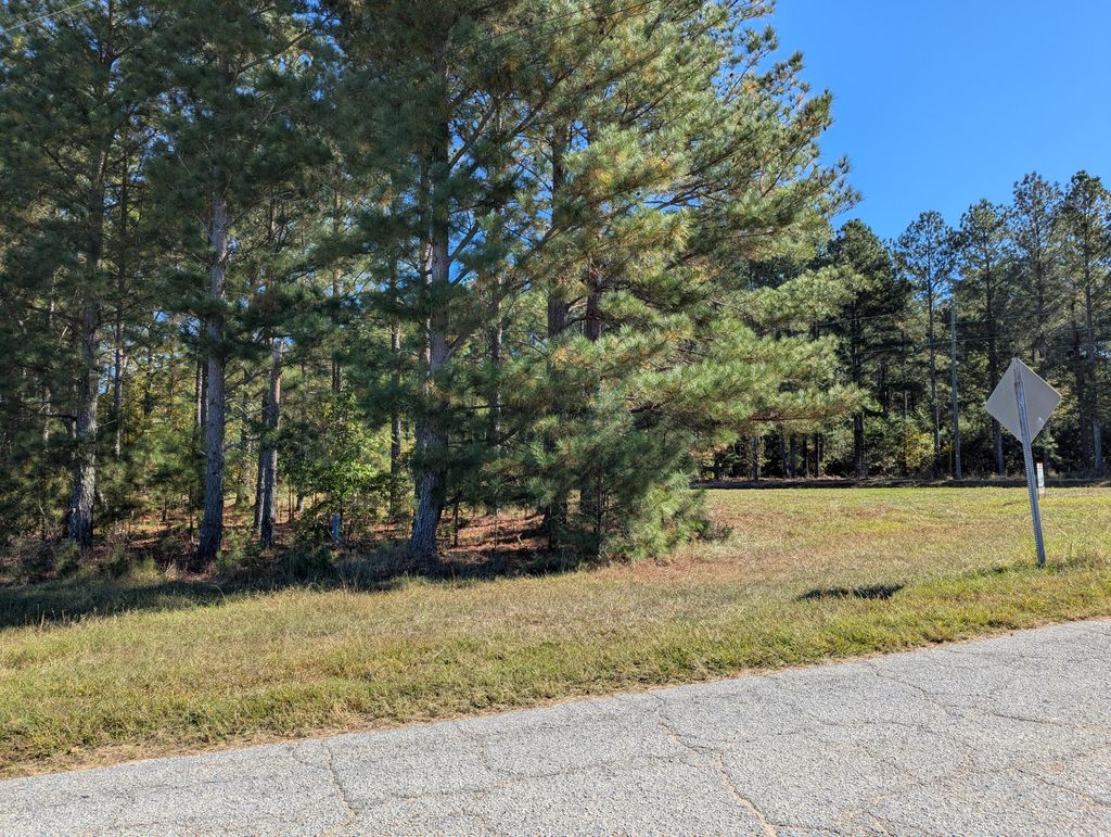 Photo of 0 Hwy 121, Trenton, SC 29847 (MLS # 548610)
