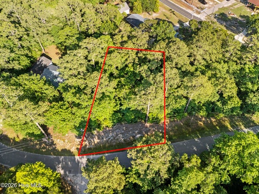 HOLLY DR, SNEADS FERRY, NC 28460 - Image dc1b7d2a4cee03acd59622d230b79d2a/2935757219