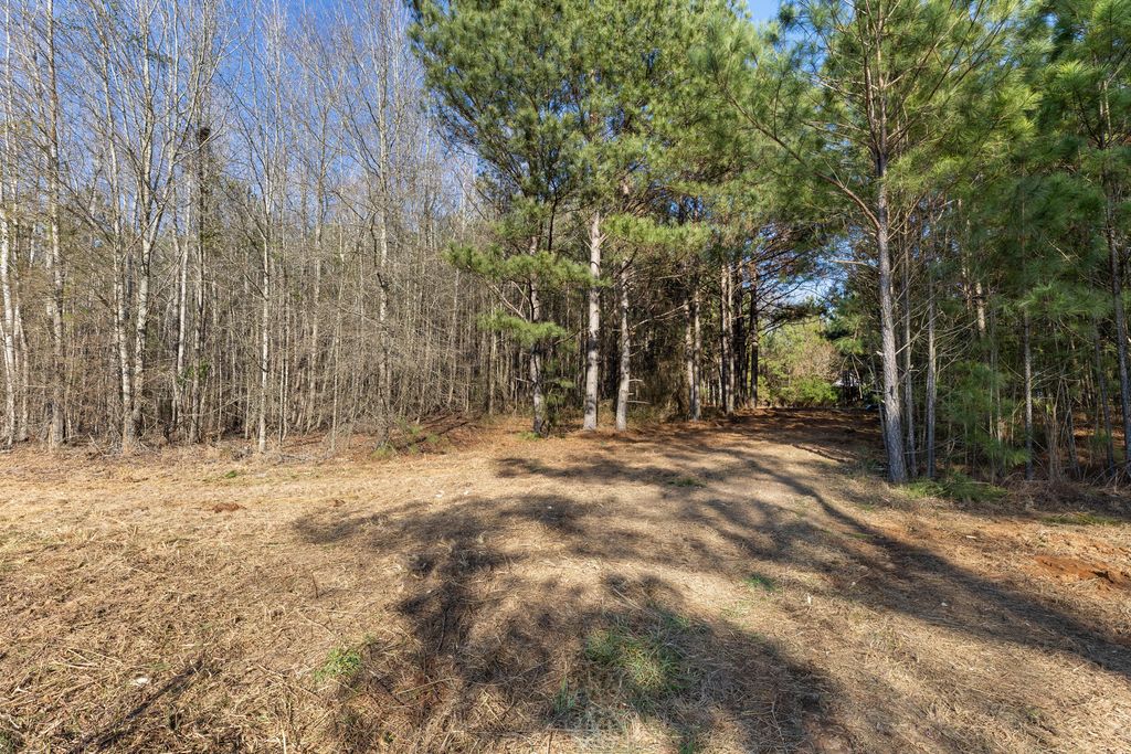 Photo of 1816 Sterling Gibson Road, Thomson, GA 30824 (MLS # 552847)