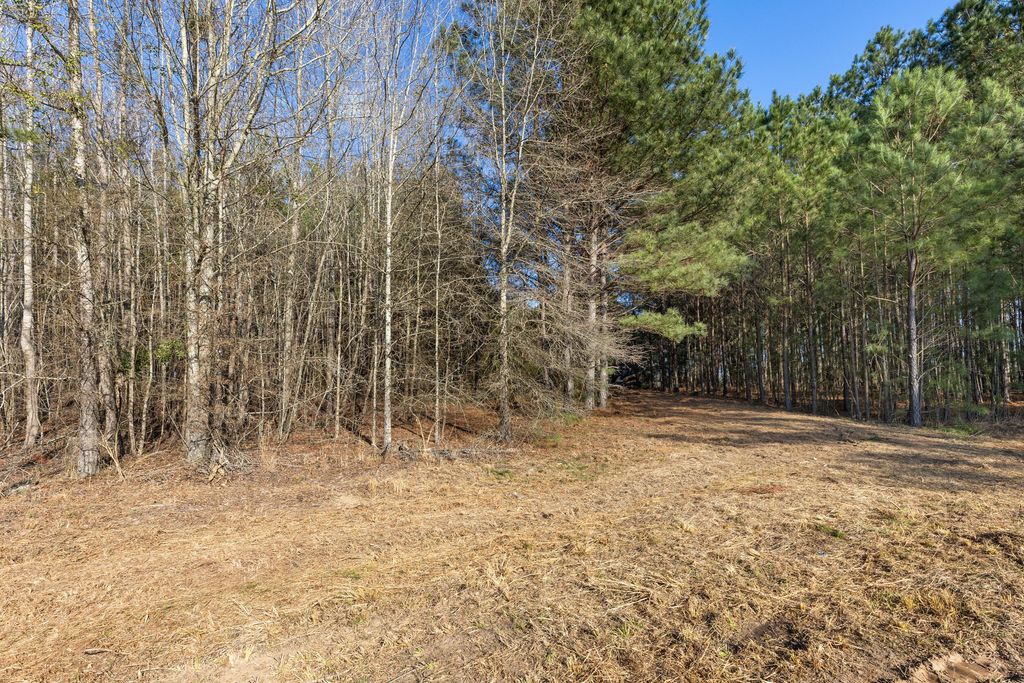 Photo of 1816 Sterling Gibson Road, Thomson, GA 30824 (MLS # 552847)