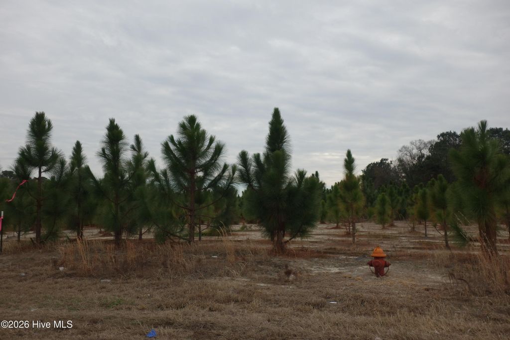 Photo of 41 Stuarts Mill Road, Fairmont, NC 28340 (MLS # 100551231)