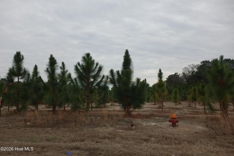 Vacant Land For Sale - LOT 41 Stuarts Mill Road<br/> Fairmont, NC 28340