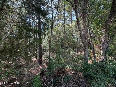 Photo of 289 Okeechobee Road, Wilmington, NC 28412 (MLS # 100597378)