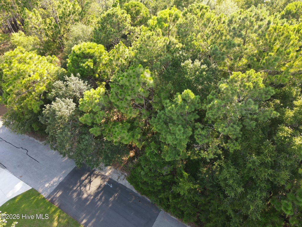Photo of 289 Okeechobee Road, Wilmington, NC 28412 (MLS # 100597378)