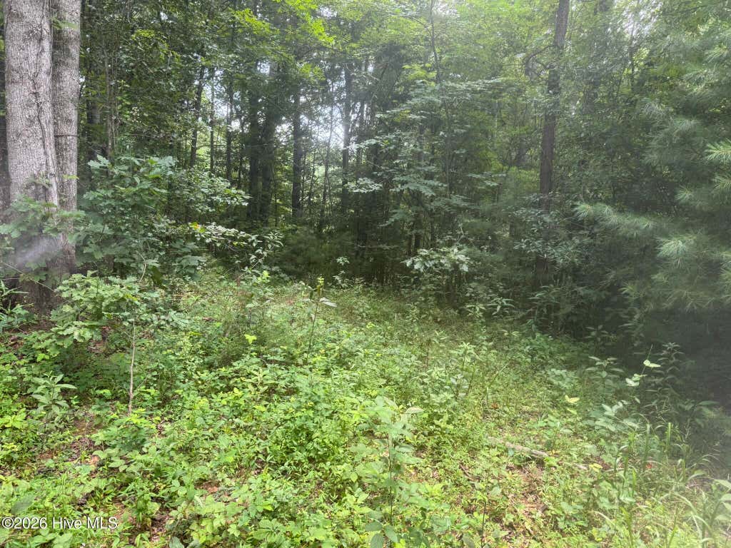 Photo of 2425 Camp Creek Estates Drive, Murphy, NC 28906 (MLS # 100593432)