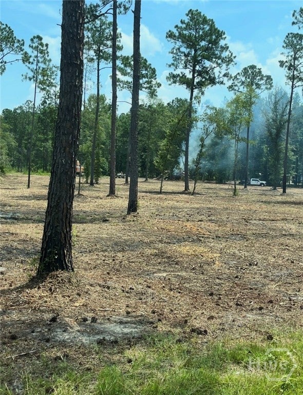 Photo of 159 Holloway Lane, Register, GA 30452 (MLS # SA366136)