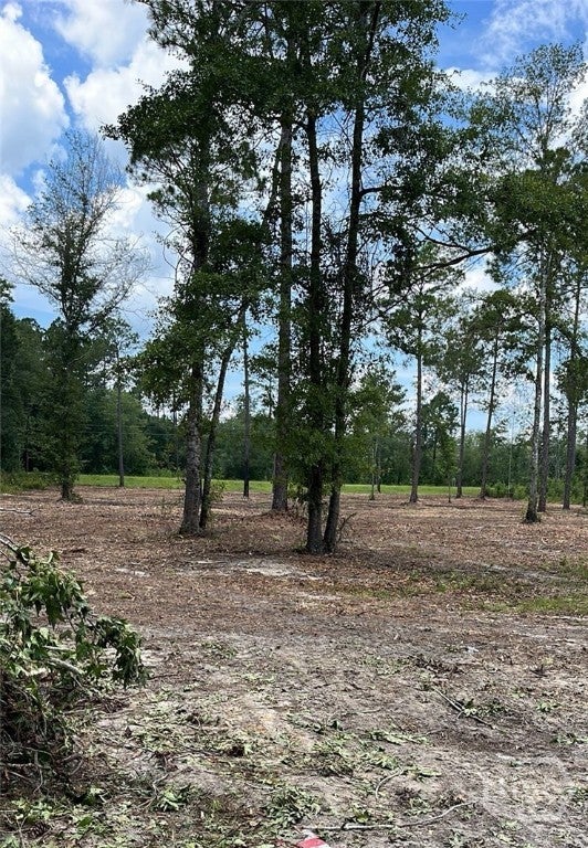 Photo of 159 Holloway Lane, Register, GA 30452 (MLS # SA366136)
