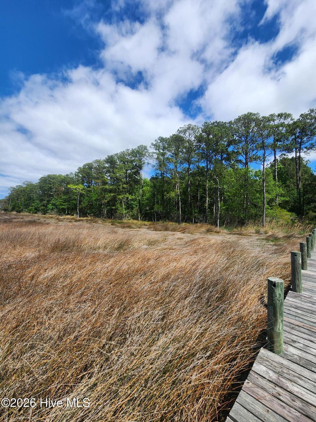 Photo of 129 Garbacon Drive, Beaufort, NC 28516 (MLS # 100576049)