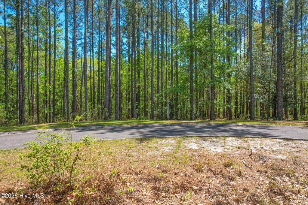 Photo of 514 Astoria Lane SE, Bolivia, NC 28422 (MLS # 100567329)