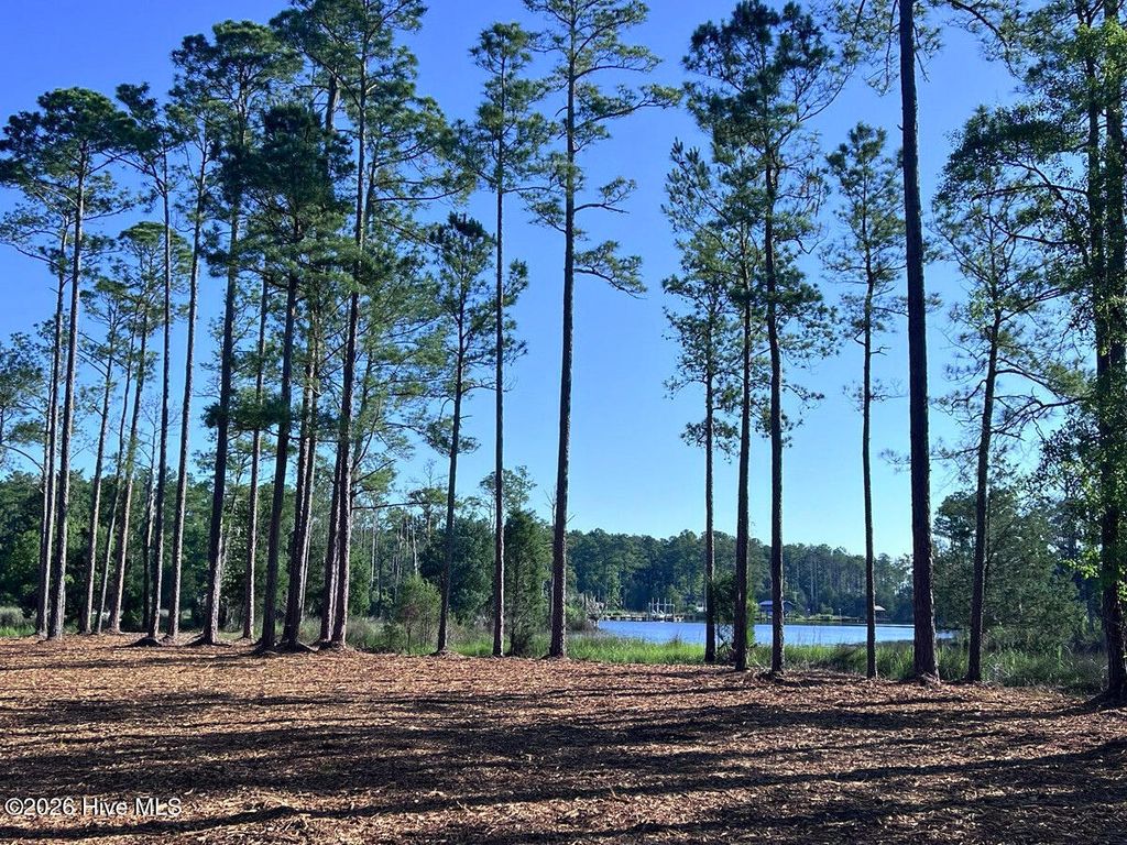 Photo of 0 Jarvis Landing Road, Aurora, NC 27806 (MLS # 100581980)