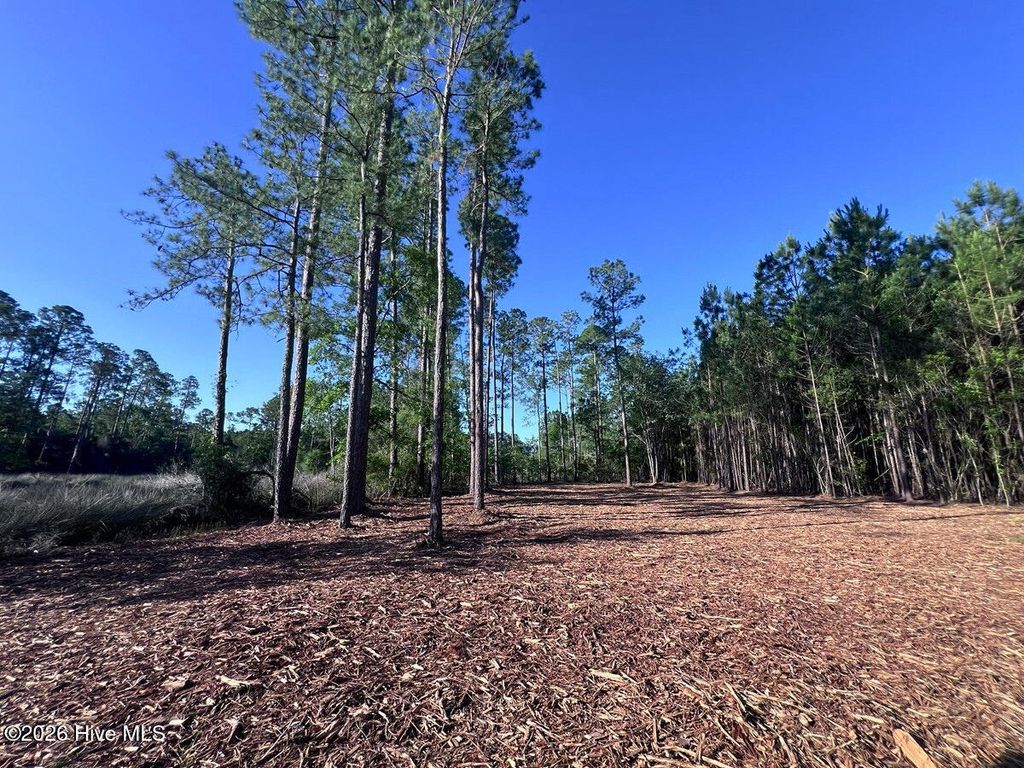 Photo of 0 Jarvis Landing Road, Aurora, NC 27806 (MLS # 100581980)