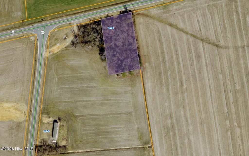 Photo of 2268 Nc Highway 222, Fremont, NC 27830 (MLS # 100575782)