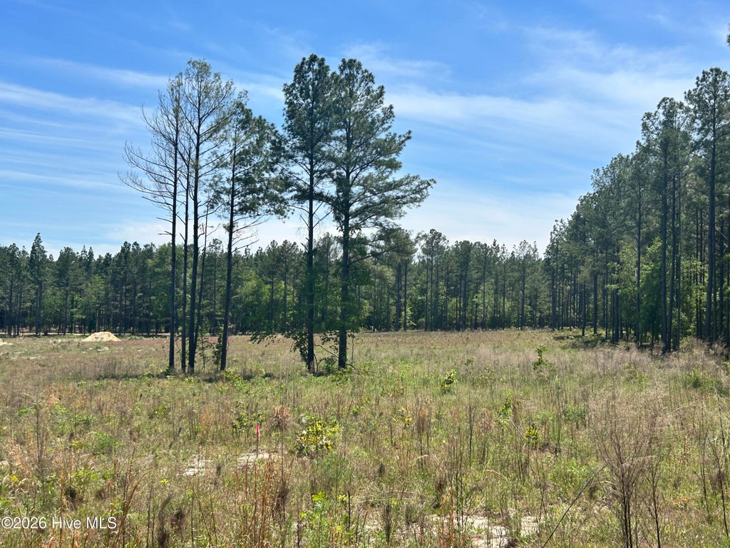 Photo of 461 Lally Circle, Aberdeen, NC 28315 (MLS # 100589106)
