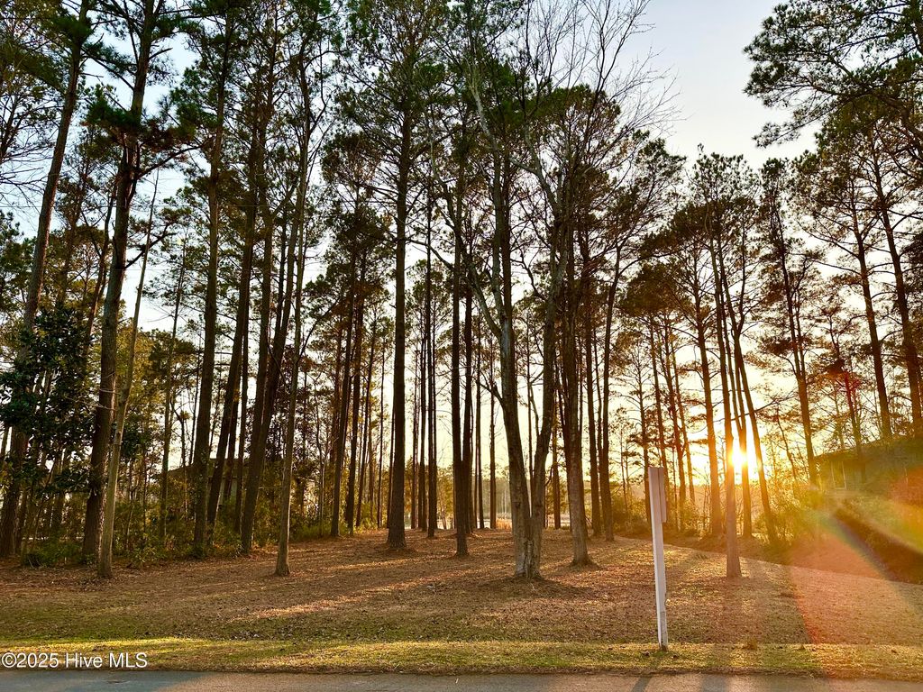 Photo of 5514 Gondolier Drive, New Bern, NC 28560 (MLS # 100491700)