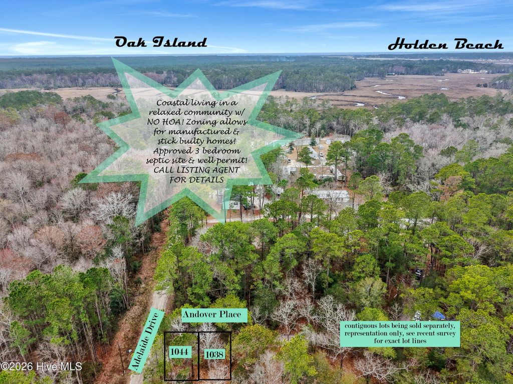 Photo of 1044 Andover Place SE, Bolivia, NC 28422 (MLS # 100557075)