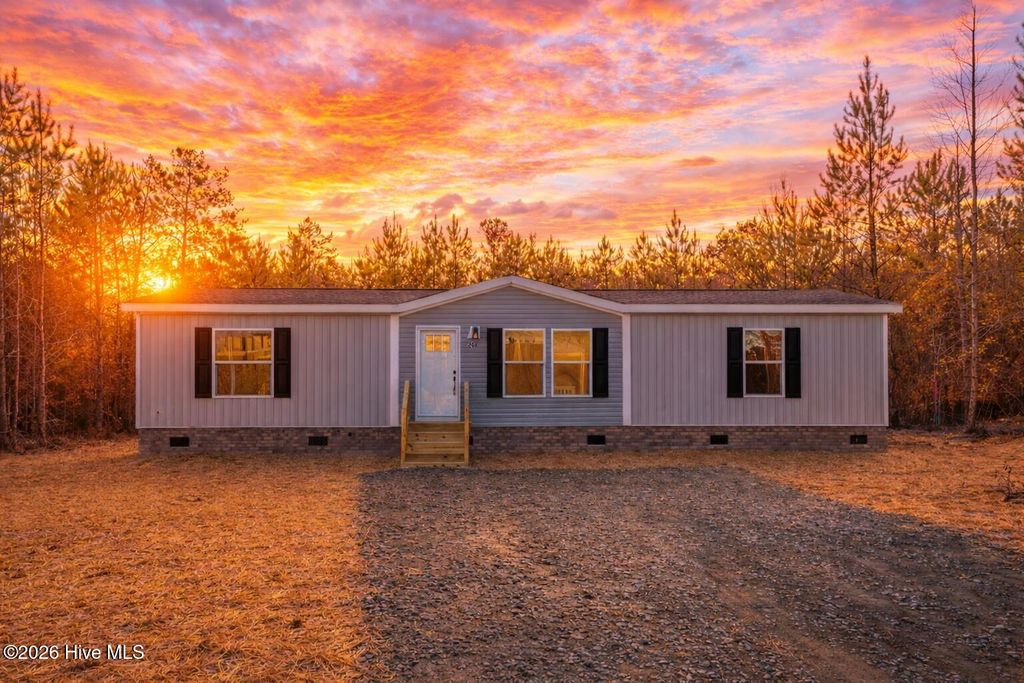 Photo of 260 Tracy Drive, Burgaw, NC 28425 (MLS # 100546675)