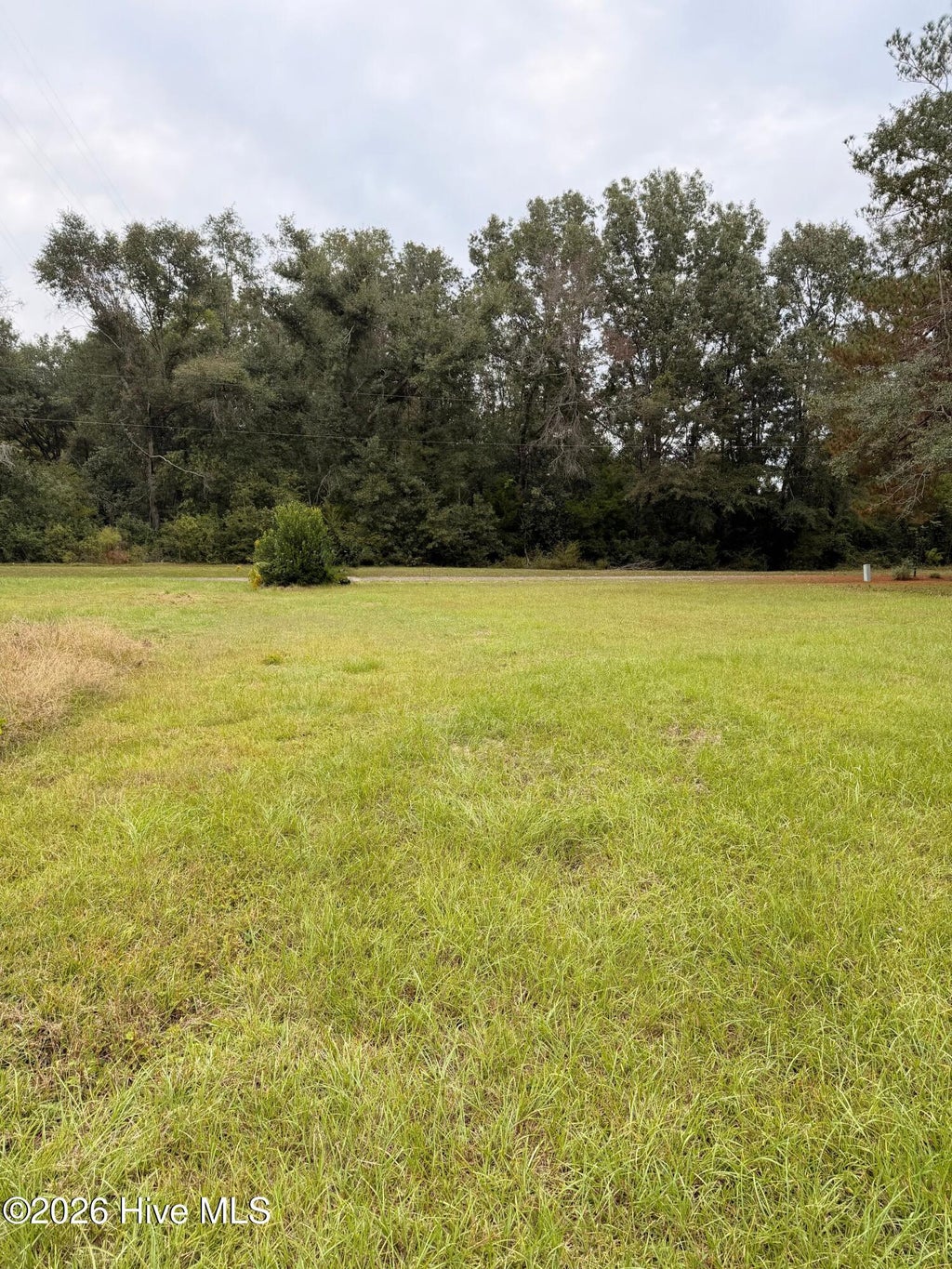 Photo of 0 Mary Street, Midville, GA 30441 (MLS # 100609538)