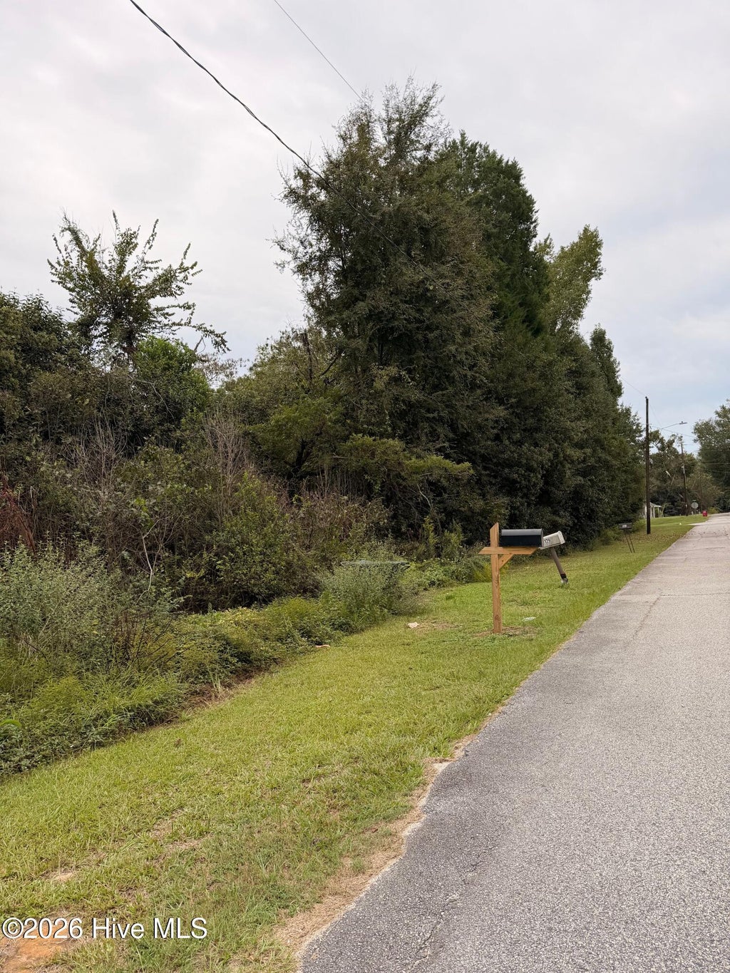 Photo of 0 Mary Street, Midville, GA 30441 (MLS # 100609538)