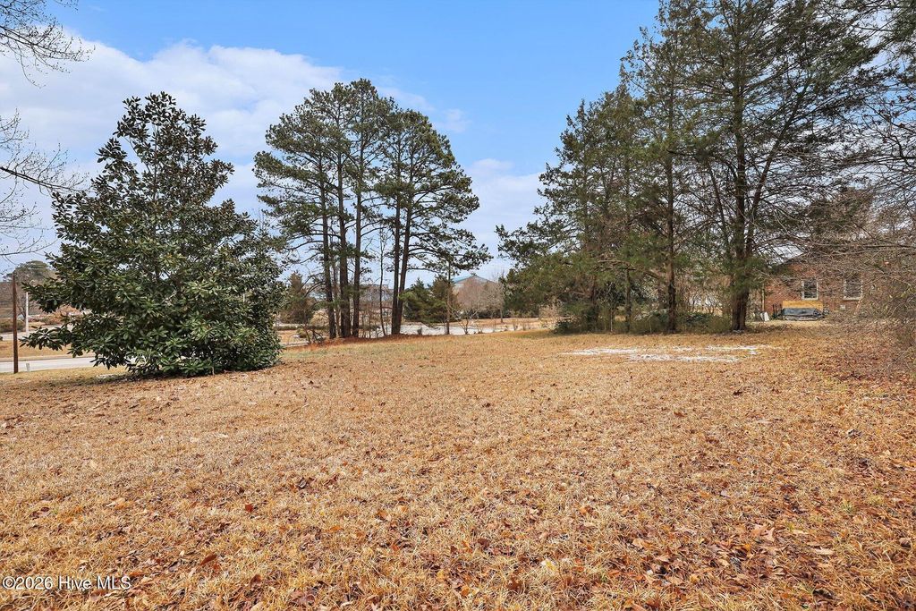 Photo of 5548 Jones Sausage Road, Garner, NC 27529 (MLS # 100553566)