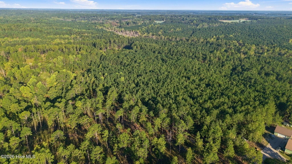 Photo of Tbd Beulah Hill Church Road, West End, NC 27376 (MLS # 100612687)