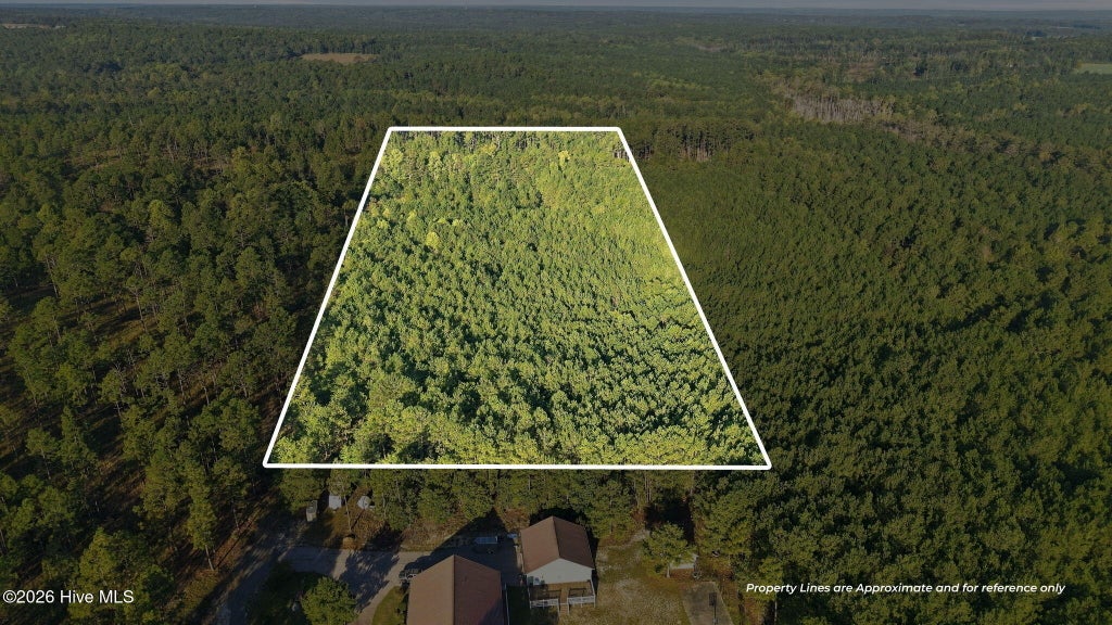 Photo of Tbd Beulah Hill Church Road, West End, NC 27376 (MLS # 100612687)