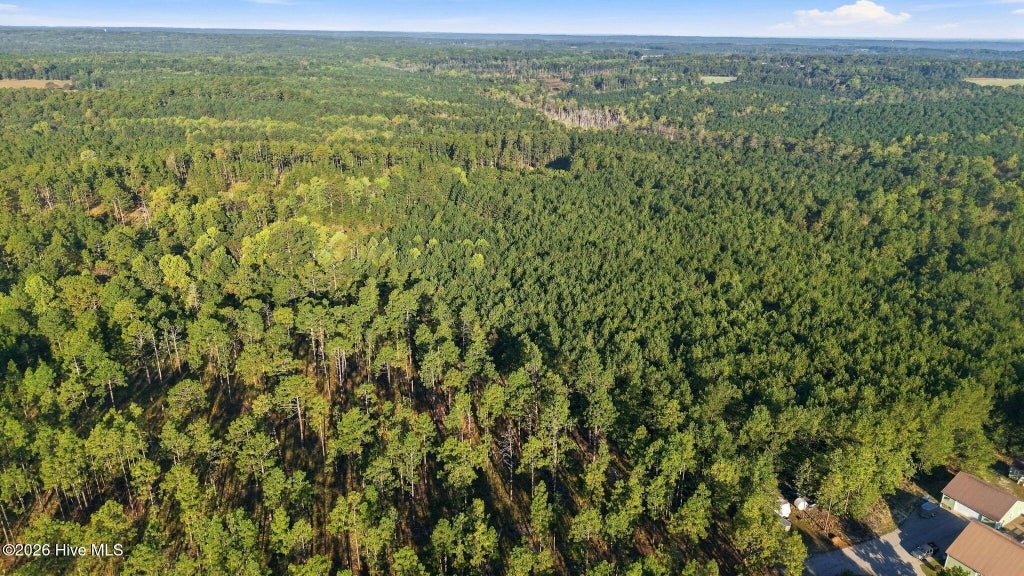 Photo of Tbd Beulah Hill Church Road, West End, NC 27376 (MLS # 100612687)