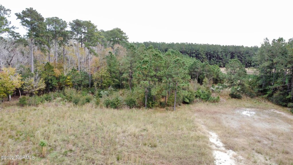 Photo of 136 Garbacon Drive Drive, Beaufort, NC 28516 (MLS # 100360572)