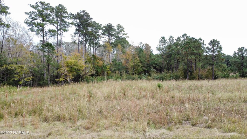 Photo of 136 Garbacon Drive Drive, Beaufort, NC 28516 (MLS # 100360572)