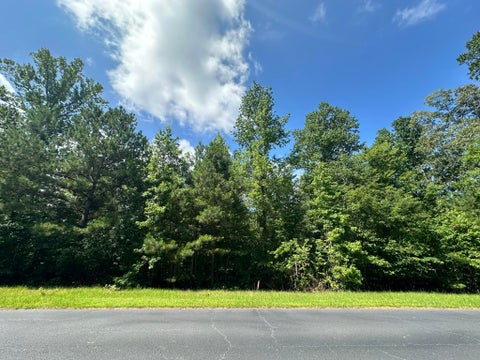 Vacant Land For Sale - LOT 11 South Pointe Drive<br/> Tignall, GA 30668