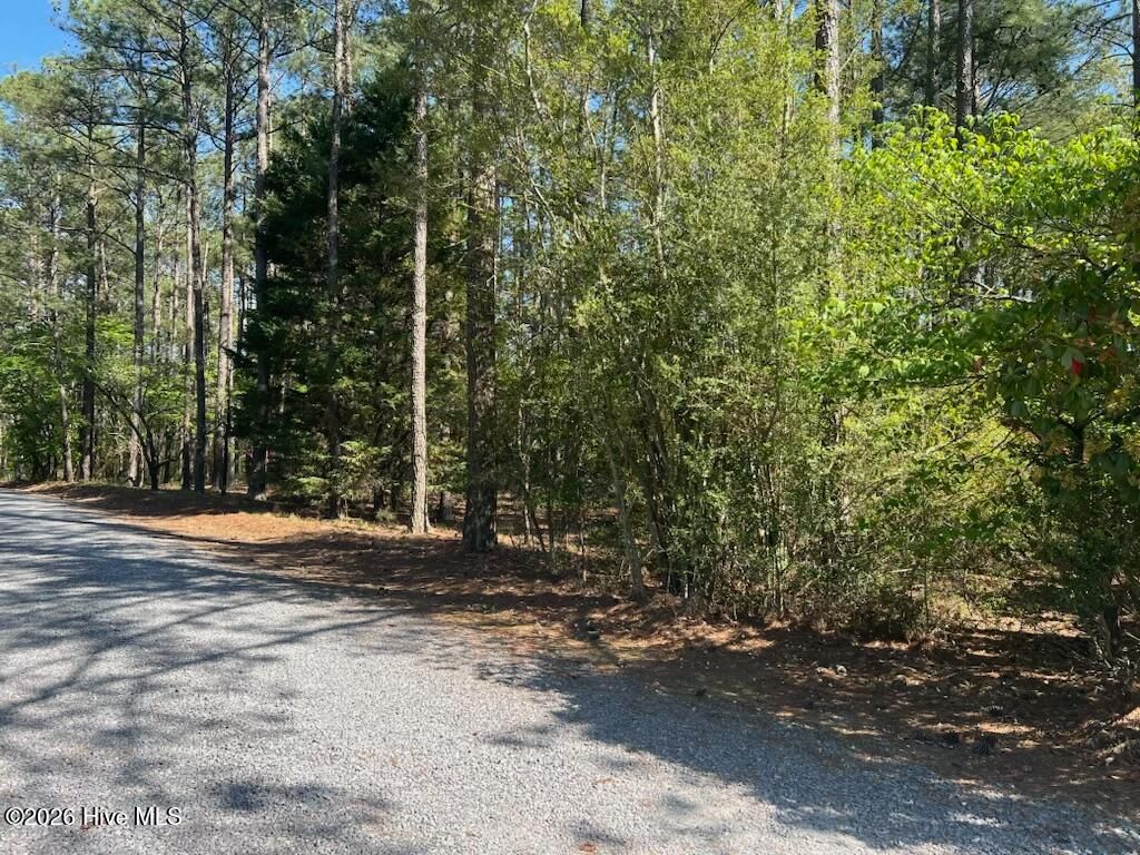 Photo of 1551 Linden Road, Aberdeen, NC 28315 (MLS # 100567720)