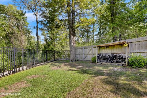 Tiny photo for 175 Violetear Ridge, Hampstead, NC 28443 (MLS # 100567607)