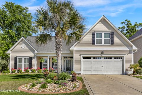 Tiny photo for 175 Violetear Ridge, Hampstead, NC 28443 (MLS # 100567607)