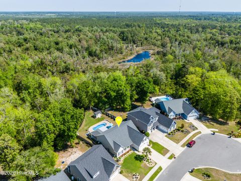 Tiny photo for 175 Violetear Ridge, Hampstead, NC 28443 (MLS # 100567607)