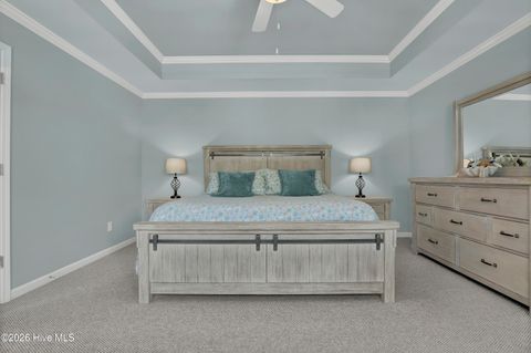 Tiny photo for 175 Violetear Ridge, Hampstead, NC 28443 (MLS # 100567607)