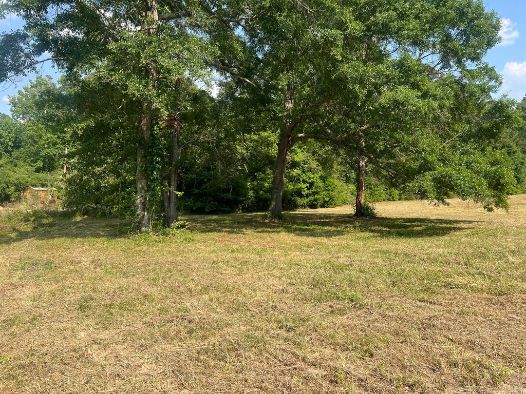 Photo of 323 Forrest Clary Drive, Thomson, GA 30824 (MLS # 554958)