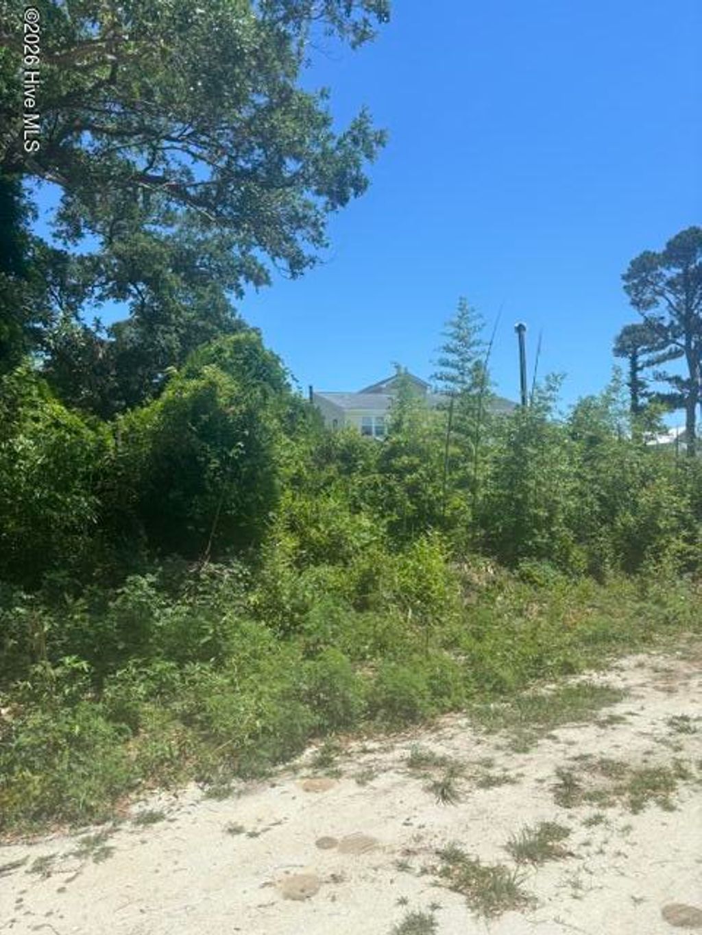 Photo of 1006 State Avenue, Wilmington, NC 28401 (MLS # 100575195)
