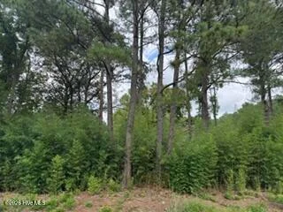 1298 Moores Chapel Road