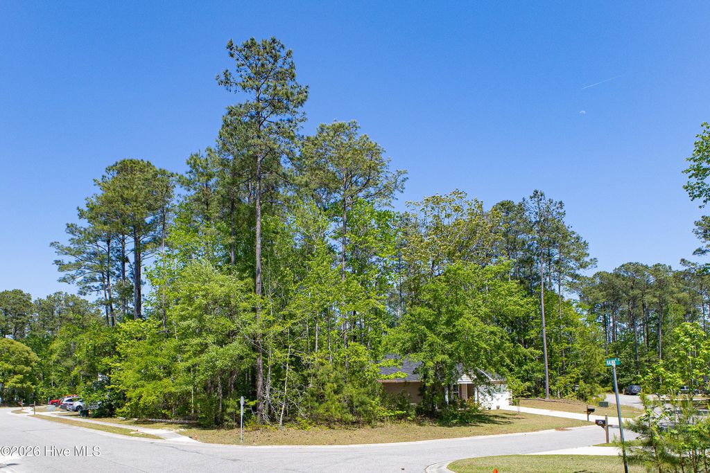 Photo of 2574 Provence Drive SE, Bolivia, NC 28422 (MLS # 100569980)