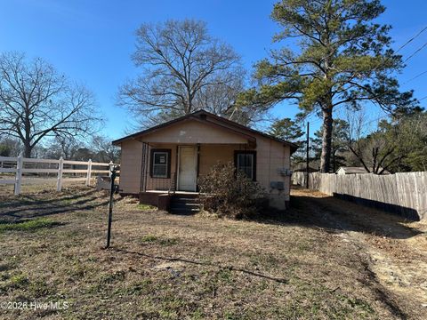 Photo of 10281 Gibson Road, Laurel Hill, NC 28351 (MLS # 100550281)