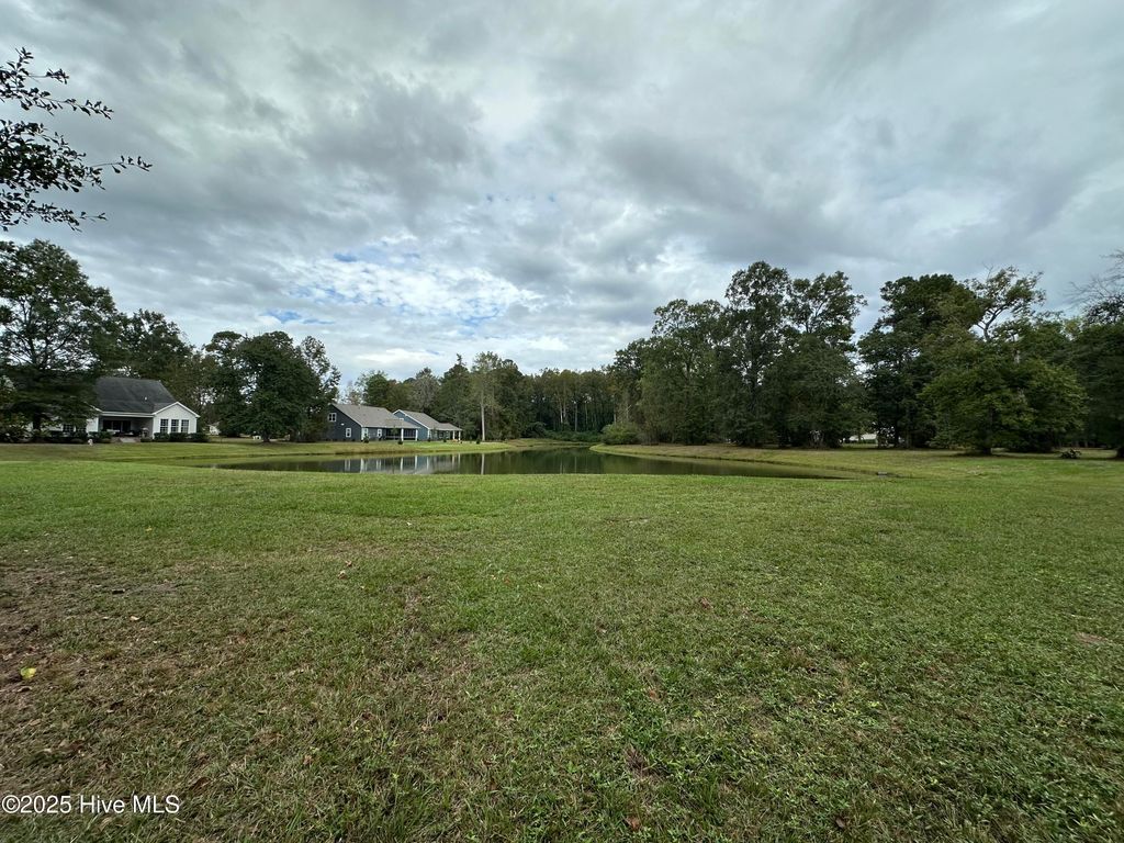 Photo of 173 Cherry Laurel Drive, Wallace, NC 28466 (MLS # 100535172)
